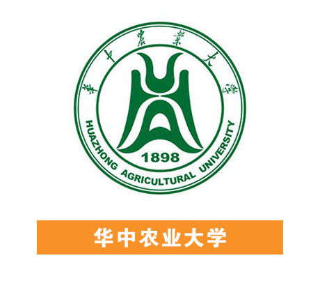 J9国际站备用【唯一】官方网站